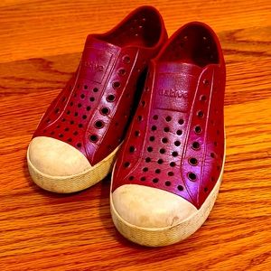 Fuchsia iridescent natives